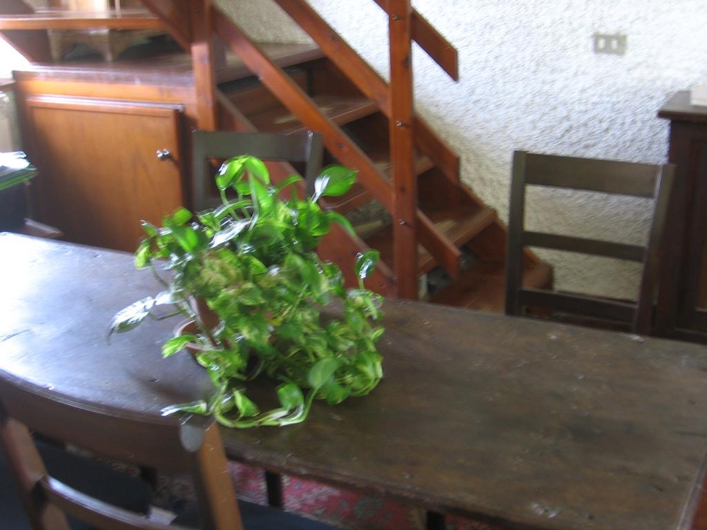 B&B Bosco Fiorito Malgesso Exterior foto